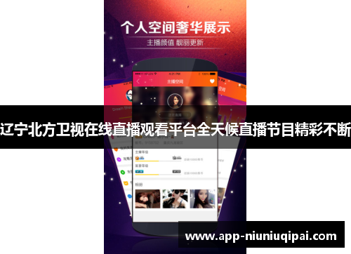 辽宁北方卫视在线直播观看平台全天候直播节目精彩不断