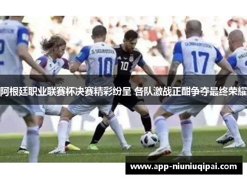 阿根廷职业联赛杯决赛精彩纷呈 各队激战正酣争夺最终荣耀
